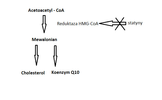 schemat syntezy cholesterolu